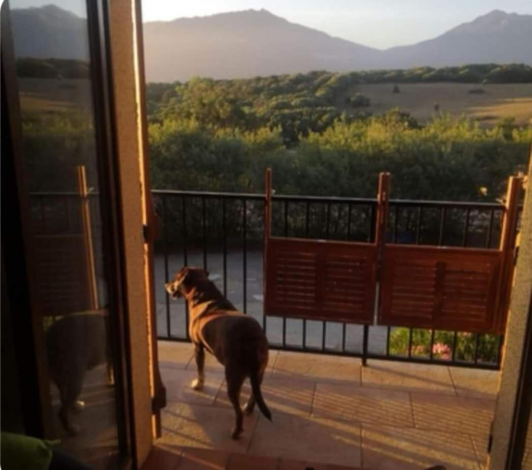 Appartement Vue Les Hameaux De Propriano A Propriano *